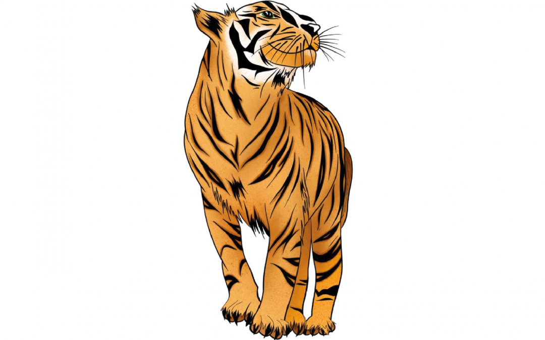 Astrología China: Características del signo Tigre