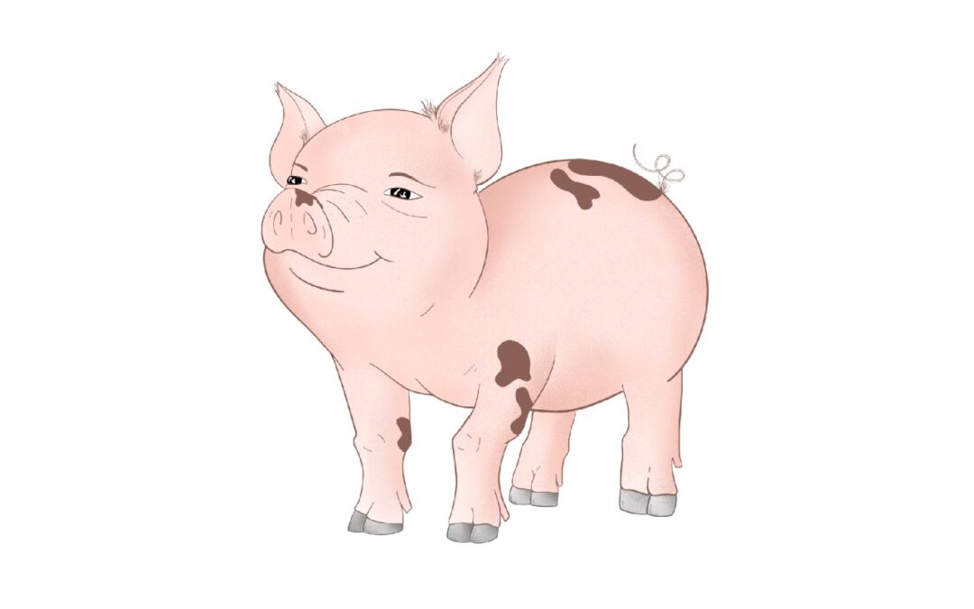 Astrología China: Características del signo Cerdo