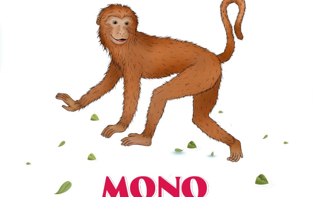 Mono – Rasgos y características para hombre y mujer.