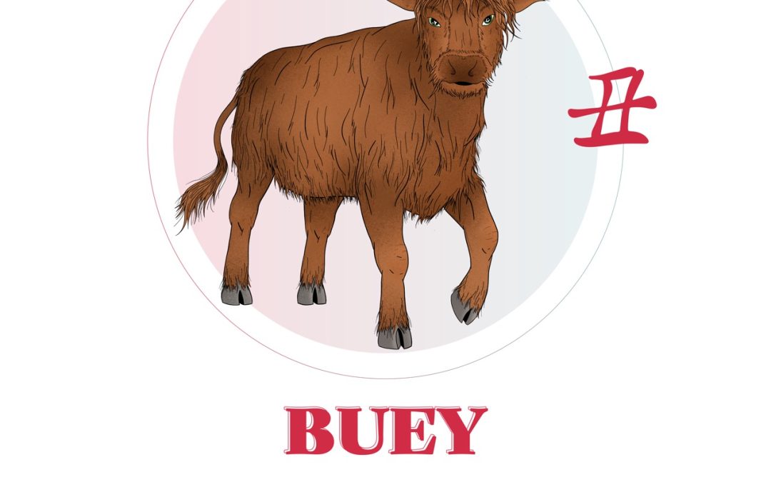 Rasgos y características del Buey.
